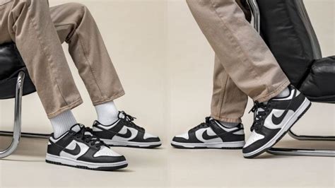 Nike Dunk Low Sizing Guide: Finde deine perfekte 